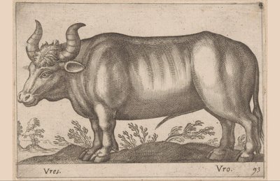 Rund Vres/ Vro (titel på objekt) Dyr og mytiske væsner (serietitel) Nova raccolta de li animali piu curiosi del mondo (serietitel) af Antonio Tempesta