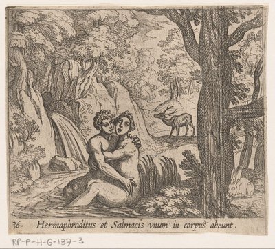 Salmacis og Hermafroditus Hermaphroditus og Salmacius forlader som én krop (titel på objekt) Metamorfoseon eller transformationer (serietitel) Metamorfosen van Ovidius (serietitel) af Antonio Tempesta