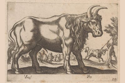 Tyr Vrus/ Vro (titel på objekt) Dieren en fablewezens (serietitel) Ny samling af verdens mest nysgerrige dyr (serietitel) af Antonio Tempesta