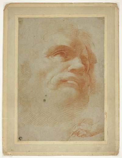 Mandshoved og skitse af højrehåndsholdepen af Antonio da Correggio