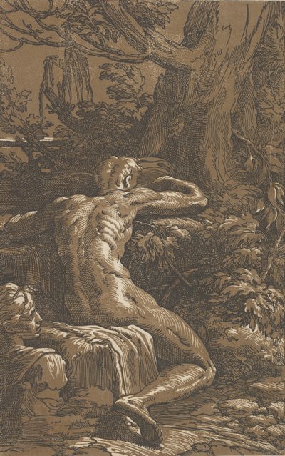 Mand siddende set bagfra Narcissus, ca. 1527-30. af Antonio da Trento