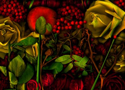  af Antonius Antonius