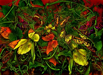  af Antonius Antonius