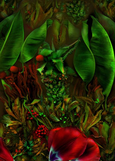  af Antonius Antonius