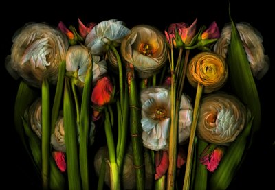  af Antonius Antonius