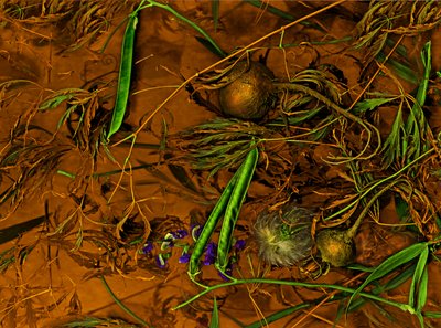 Earthart no.2, 2014 (foto) af Antonius Antonius