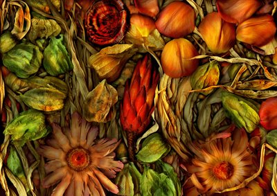  af Antonius Antonius