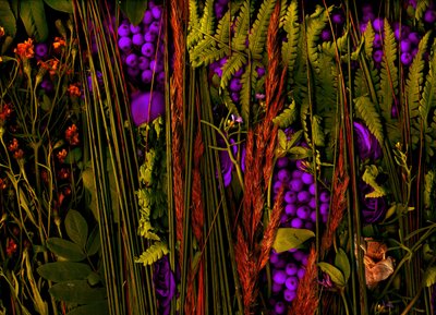  af Antonius Antonius