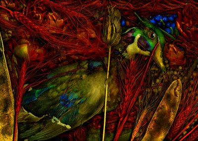 Magisk have nr. 76, 2012 (foto) af Antonius Antonius