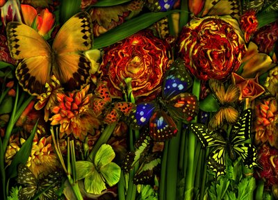  af Antonius Antonius