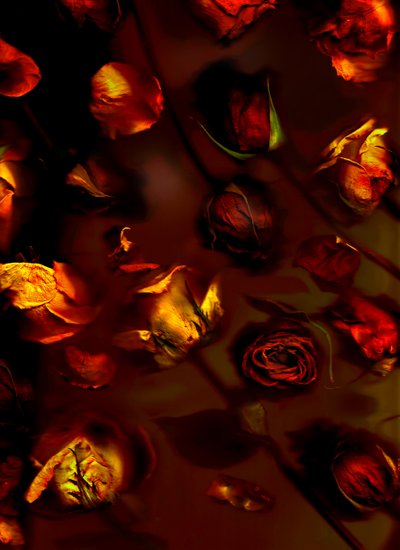  af Antonius Antonius