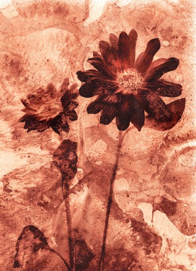  af Antonius Antonius