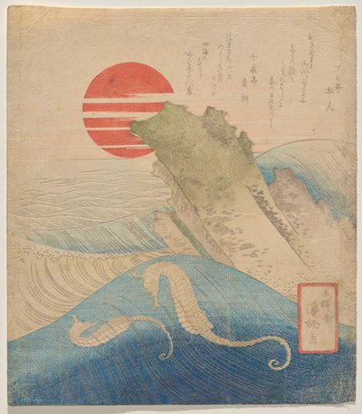 Søheste før et stigende nytår af Aoigaoka Keisei