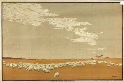 A Flock of Merino Sheep - Australien, fra serien 