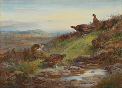 En bugt af rød ryper ved en kilde af Archibald Thorburn