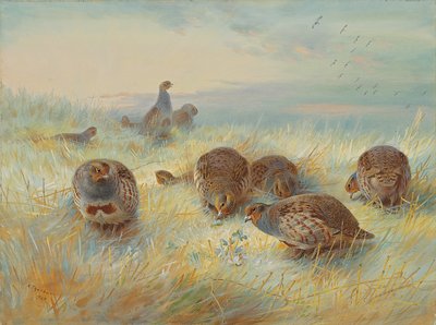 En frostklar daggry af Archibald Thorburn