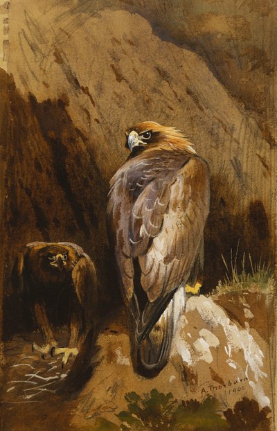 Golden Eagles på deres Eyrie af Archibald Thorburn