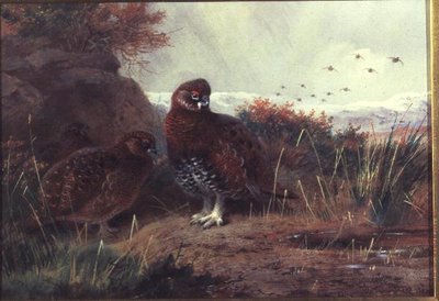 Ryper i et vinterlandskab af Archibald Thorburn