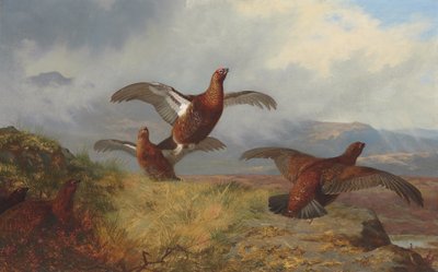 Ryper i flugt af Archibald Thorburn