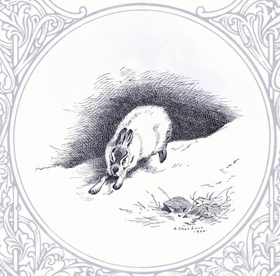 Mountain Hare, pub. af Book Club Associates af Archibald Thorburn