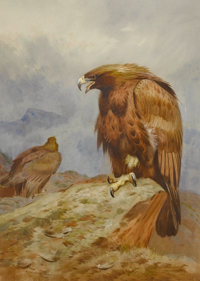 Et par kongeørne af Archibald Thorburn