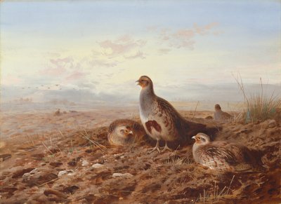 Agerhøns blandt stubbe af Archibald Thorburn