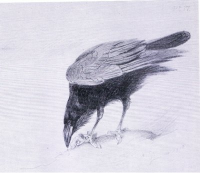 Raven, pub. af Book Club Associates af Archibald Thorburn