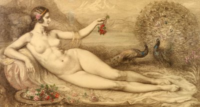 Juno af Armand Point