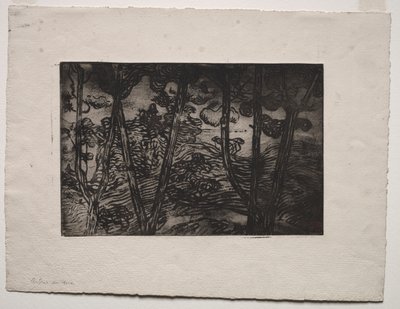 Træer om natten, ca. 1894. af Armand Séguin