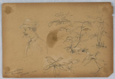 Forgrundsstudier, Ramapo af Arnold William Brunner