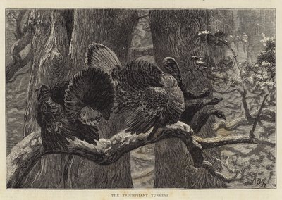 De triumferende kalkuner af Arthur Boyd Houghton