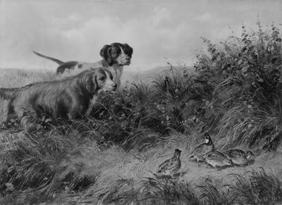 On Point, 1874. af Arthur Fitzwilliam Tait