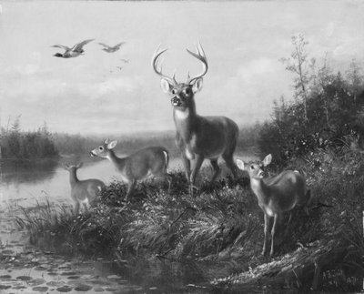 Om Qui Vive, Buck and Three Does, 1871. af Arthur Fitzwilliam Tait