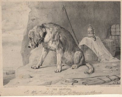 Sentinelen af Arthur Fitzwilliam Tait