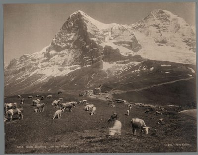 Køer på Kleine Scheidegg i Berner Oberland, i baggrunden Eiger og Mönch Kleine Scheidegg, Eiger und Moench (titel på objekt) af Arthur Gabler