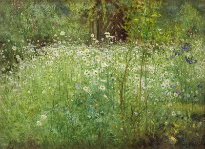 Oxeye Daisies and Irises, 1920 af Arthur Hacker