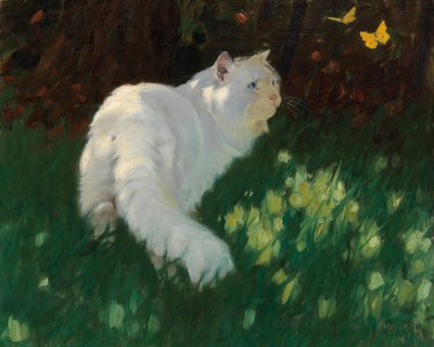 Hvid kat og sommerfugle af Arthur Heyer