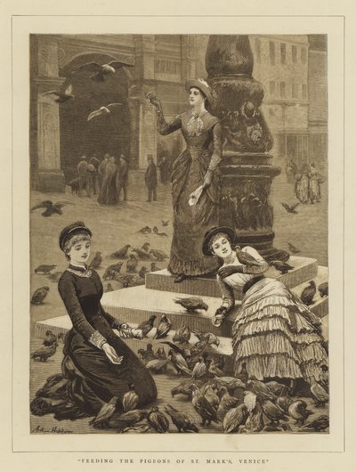 Fodring af Pigeons of St Mark