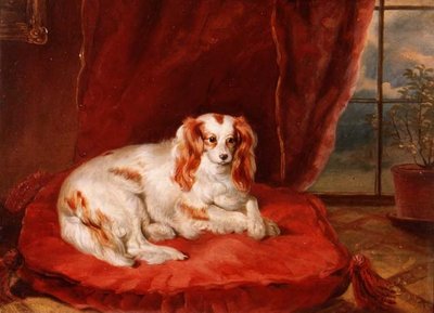 En Cavalier King Charles Spaniel liggende på en rød pude af Arthur J. Stark
