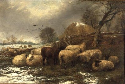 Shelter af Arthur J. Stark