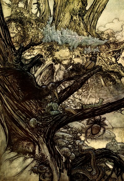 En skærsommernats drøm af Arthur Rackham