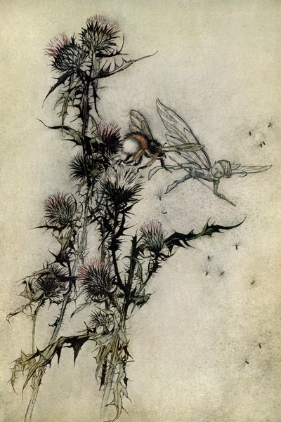 En skærsommernats drøm af Arthur Rackham