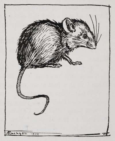 En mus af Arthur Rackham