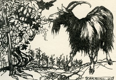 Æsops fabler af Arthur Rackham