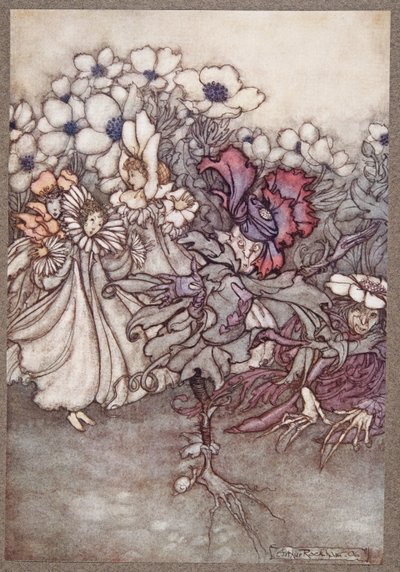 Men hvis du ser efter, og de frygter, at der ikke er tid til at gemme sig, står de ganske stille og foregiver at være blomster, fra Peter Pan i Kensington Gardens af J M Barrie (1860 - 1937), pub. 1906 af Arthur Rackham