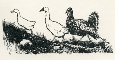 Henny-Penny af Arthur Rackham
