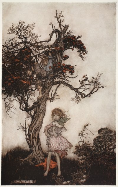 Hans børn var lige så pjaltede og vilde, som om de ikke tilhørte nogen., fra Rip Van Winkle af Washington Irving, pub. 1910 af Arthur Rackham