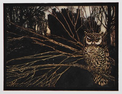 Illustration fra Jorinda og Joringel af en skrigende ugle. af Arthur Rackham