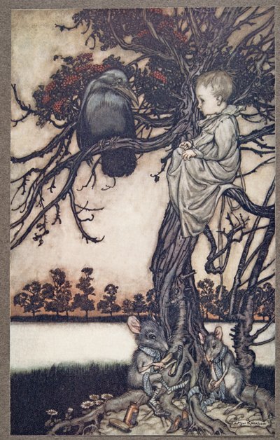 Læg hans mærkelige sag foran Old Solomon Caw, fra Peter Pan i Kensington Gardens af J M Barrie (1860 - 1937), pub. 1906 af Arthur Rackham
