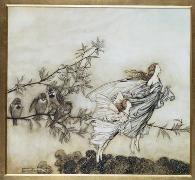 Feerne har deres Tiff with the Birds, illustration fra 1906 til Peter Pan i Kensington Gardens af J.M. Barrie, pub. 1906 (blæk og wc) af Arthur Rackham